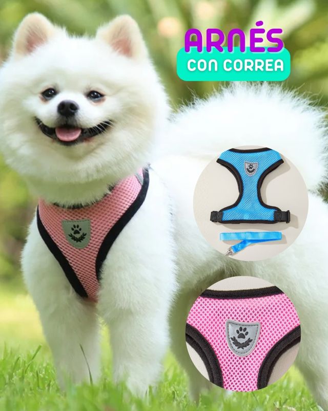 Inicio - Meloh | Me lo llevo!